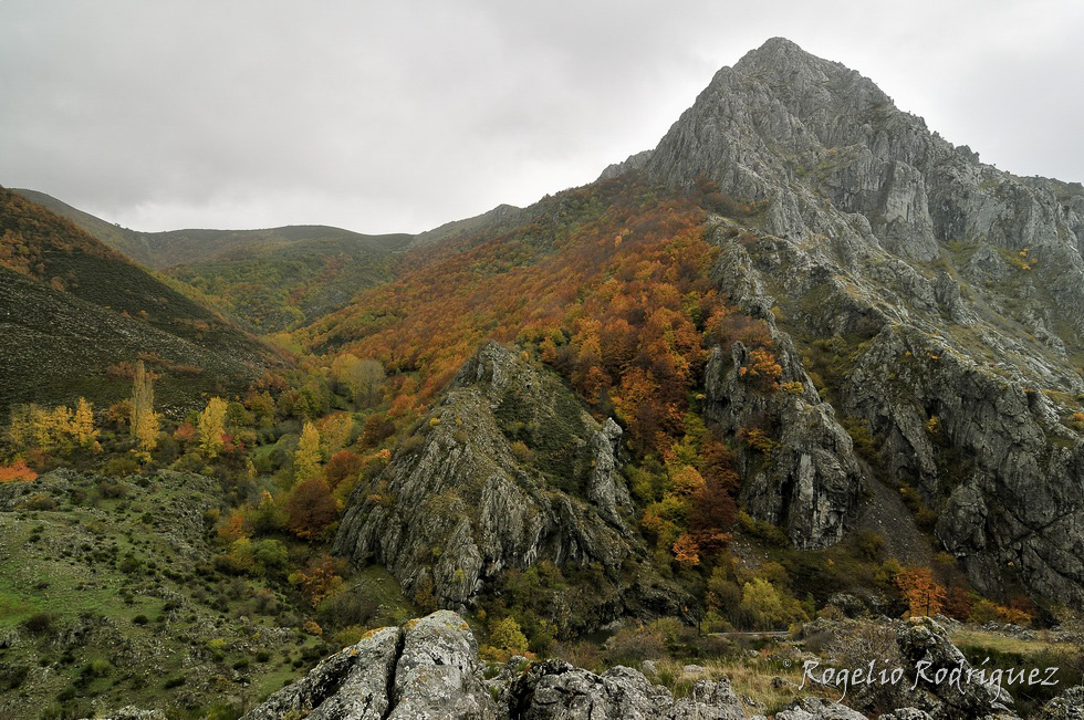 Bosque de Tejedo. Siguiendo el río Curueño en medio de Las Hoces